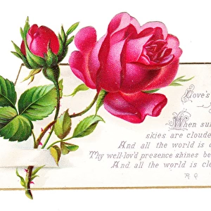 Romantic greetings card with red roses