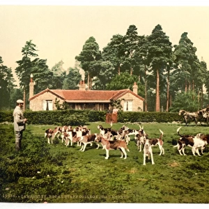 Royal Staff College, drag hounds, Camberley, England