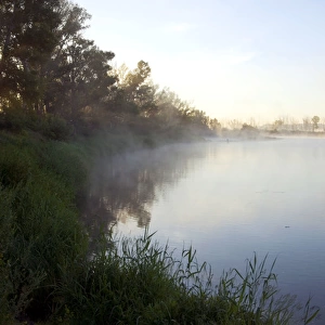 Russia - morning mist at a sunrise on a river Sakmara