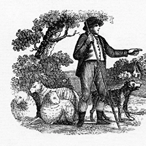 Shepherd & his sheep