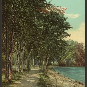 Shore path at Huletts, Lake George, N. Y