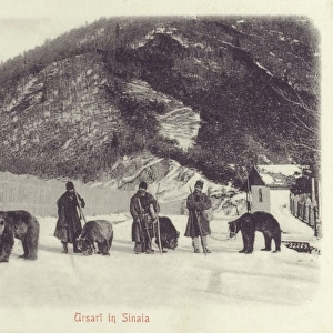 Sinaia, Romania - Bears and handlers