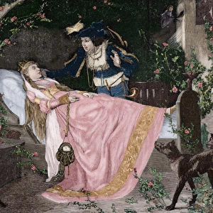 The Sleeping Beauty. Engraving. Colored