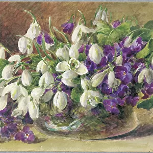 Snowdrops and Violets