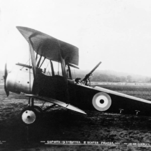 Sopwith 15 Strutter 2-seat fighter (side view)