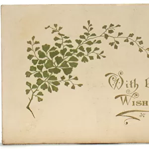 Spray of green leaves on a Christmas card