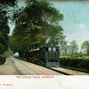 Steam Tram and Carriages, Wisbech, Cambridgeshire