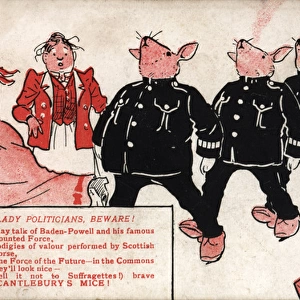 Suffragette, Beware Scantleburys Mice