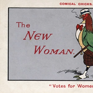 Suffragette Chicken as New Woman