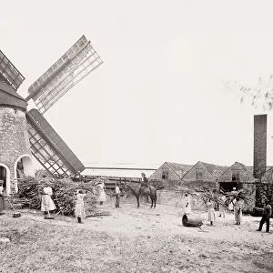 Sugar processing mill, windmill, Barbados, West Indies