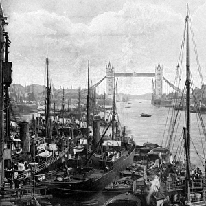 Thames / Tower Bridge 1901