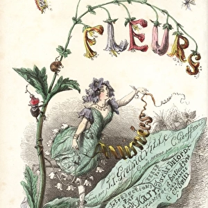 Title page with illustration of flower fairy