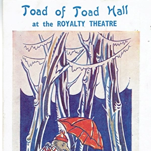 Toad of Toad Hall by A A Milne