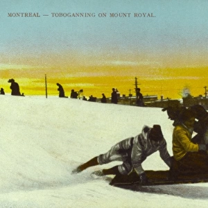 Toboganning on Mount Royal, Montreal