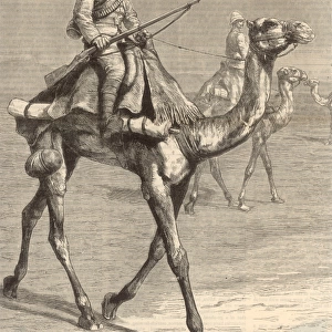 Trooper on a Camel / 1884