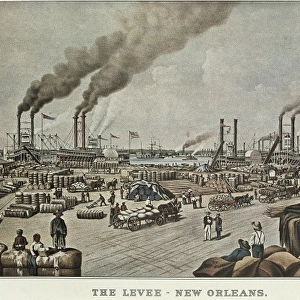 United States (1883). New Orleans. Harbour. Litography