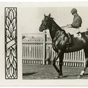 Valcaire, Australian race horse