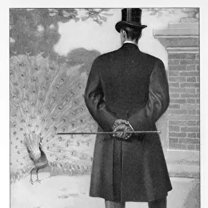 Back View of Frock Coat