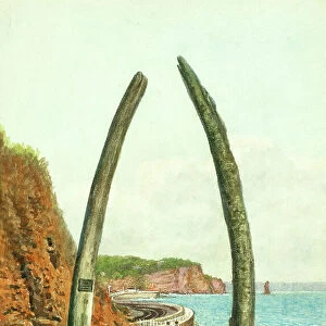 Whalebones at Teignmouth, Devon