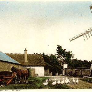 Windmills of Sussex - Medmerry Mill