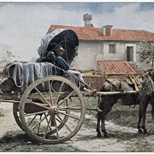 A wine cart in the outskirts of Rome. Date: 1890s