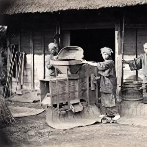 Winnowing or cleaning tea or grain with fans, Japan