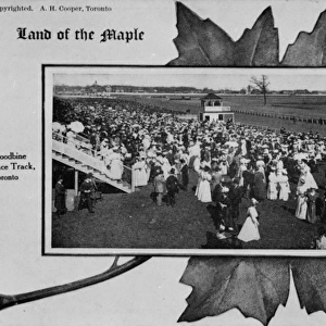Woodbine race track, Toronto, Canada, with large crowd