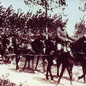 WORLD WAR (1914-1918). Soldiers and horses of the German ar