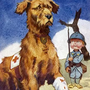 Wounded Red Cross Dog