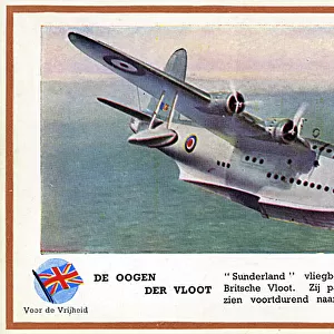 WW2 - British RAF Flying Boat Sunderland