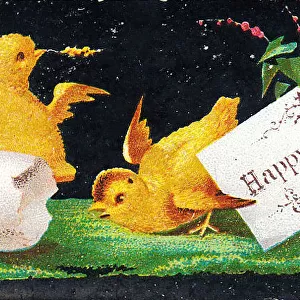 Two yellow chicks on a Christmas card