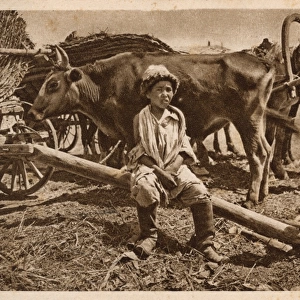 Young Uzbek famers son with wagons, ox and horses