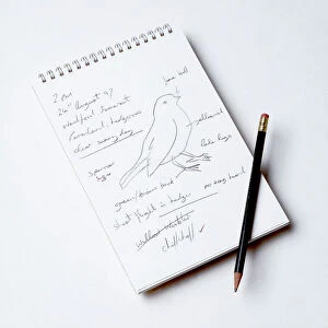 Bird Watcher's Notebook - and pencil
