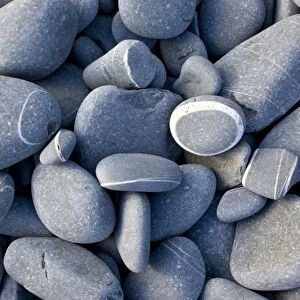 Rounded sandstone beach pebbles - at Hartland Quay - north Devon - UK