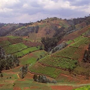 Rwanda - Africa, Intensive agriculture on Virunga foothills, 2003