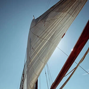 Sailing-boat on sunny day Wadden, Netherlands