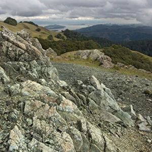 Serpentine outcrop on Mount Tamalpais (mt. Tam), just north of San Francisco