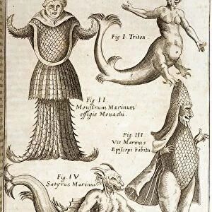 1662 Schott Sea Monsters and mermaids