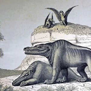 1862 Megalosaurus reconstruction
