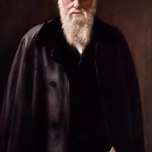 1881 Charles Darwin Portrait aftr Collier