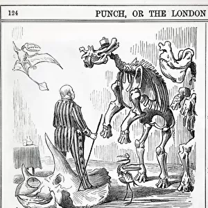 1890 Punch Cartoon Othaniel Marsh