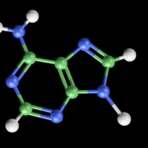 Adenine molecule, artwork C017 / 7200