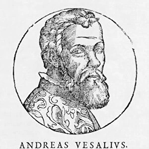 Andreas Vesalius, Dutch anatomist