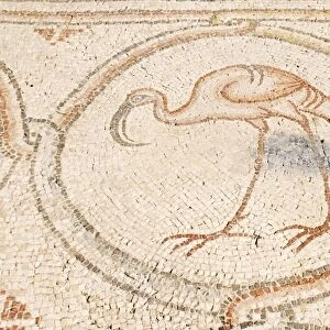 Bird Mosai Flamingo detail