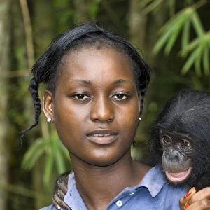 Bonobo ape conservation