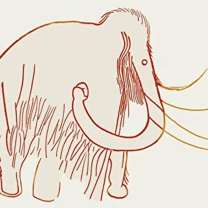 Cave painting of a mammoth, artwork