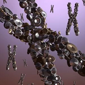 Chromosome as a machine, conceptual image C016 / 8432