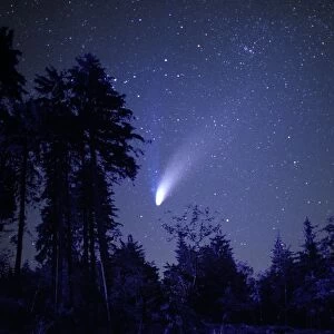 Comet Hale-Bopp 1997 C011 / 1168