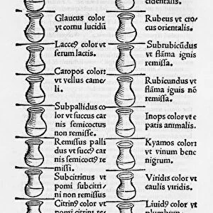 Diagnosis from urine, 16th century