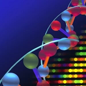 DNA microarray and double helix